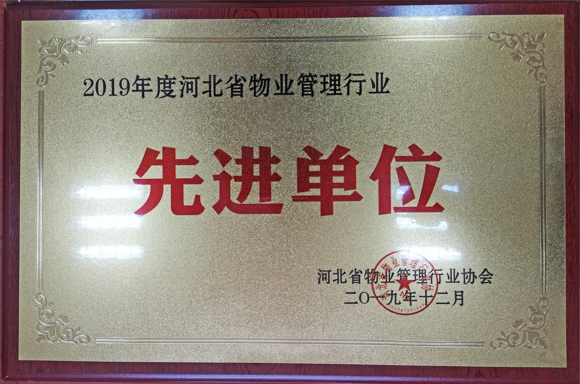 以行業(yè)榮譽(yù)，開啟2020新征程